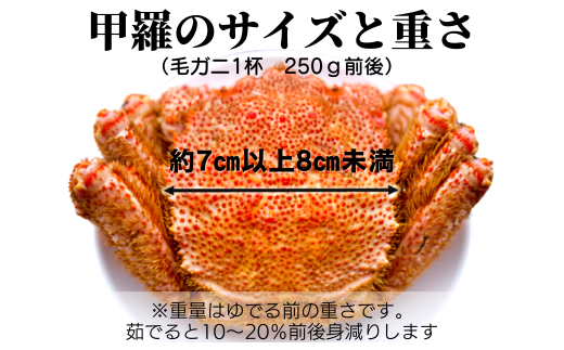 【令和7年発送】【期間限定3月〜4月発送】三陸産　三陸活毛ガニ　250g×3杯 (3尾)　【配送日指定不可】