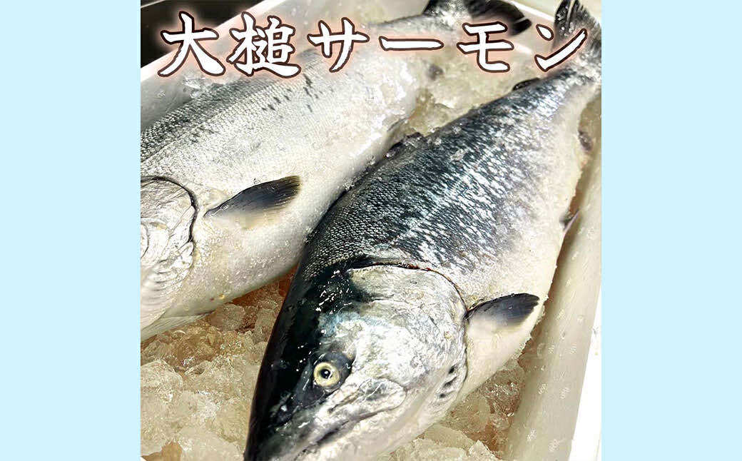 【大槌サーモンづくし】バター焼き、西京漬け、粕漬け、塩麴漬け、ひと塩の5種類セット【15】