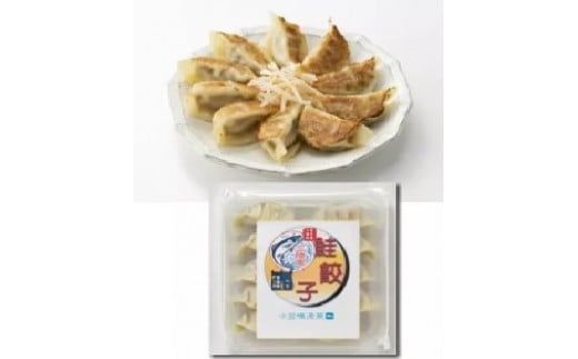 【6ヶ月定期便】お魚加工品（鮭切身・サバ・鮭ぎょうざ・サバ味噌カツ・つみれ・煮つけ）をお届け