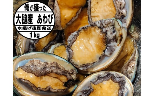 【2026年11月・12月期間限定発送】【先行予約】アワビ約1kg（7個前後）※アワビヘラ＆軍手付き【35】