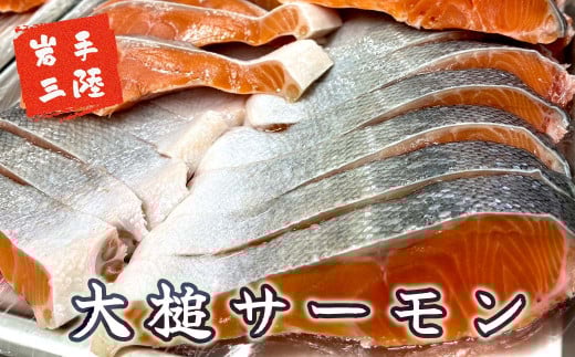 【2ヶ月 定期便】大槌銀鮭(ひと塩)切り身8切(1切れ真空包装約80g〜100g)×2回 計16切