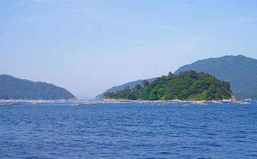 縲千┌豺サ蜉縲代が繝ゥ繝ウ繝蟲カ 繧オ繝シ繝「繝ウ 蛻コ霄ォ 逶帙j蜷医o縺 邏400g 遏ウ螻ア豌エ逕」 蟯ゥ謇狗恁 荳蛾匣 荳蛾匣螻ア逕ー 螻ア逕ー逕コ 魄ュ 豬キ逕」蜩 荳蛾匣逕」 蜀キ蜃 YD-918
