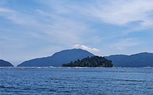 ã2026幎å
è¡äºçŽãè
åååºã®çãã«75g 3æ¬ã什å8幎5æäžæ¬ã7æäžæ¬é
éäºå®ããé
鿥æå®äžå¯ããæ²çžã»é¢å³¶é
éäžå¯ã äžéžå±±ç° å±±ç°çº çä¹³ç¶ æµ·ç£å ç¡æ·»å ãã§ãŠãã³äžäœ¿çš é²äž¹ æµ·æ YD-923