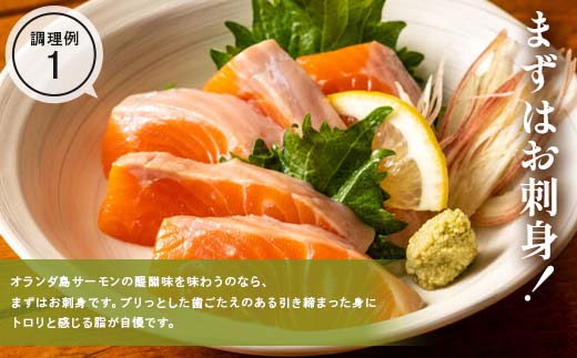 縲千┌豺サ蜉縲代が繝ゥ繝ウ繝蟲カ 繧オ繝シ繝「繝ウ 蛻コ霄ォ 逶帙j蜷医o縺 邏400g 遏ウ螻ア豌エ逕」 蟯ゥ謇狗恁 荳蛾匣 荳蛾匣螻ア逕ー 螻ア逕ー逕コ 魄ュ 豬キ逕」蜩 荳蛾匣逕」 蜀キ蜃 YD-918