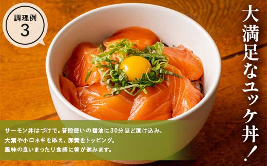 縲千┌豺サ蜉縲代が繝ゥ繝ウ繝蟲カ 繧オ繝シ繝「繝ウ 蛻コ霄ォ 逶帙j蜷医o縺 邏400g 遏ウ螻ア豌エ逕」 蟯ゥ謇狗恁 荳蛾匣 荳蛾匣螻ア逕ー 螻ア逕ー逕コ 魄ュ 豬キ逕」蜩 荳蛾匣逕」 蜀キ蜃 YD-918