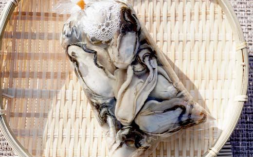 【産地直送】三陸山田産 剥き身 牡蠣 約500g×1パック 大福丸 岩手県 三陸山田 山田町 山田湾 三陸 海産品 かき カキ YD-723