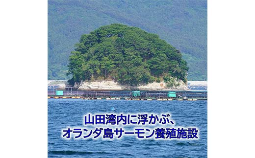 縲千┌豺サ蜉縲代が繝ゥ繝ウ繝蟲カ 繧オ繝シ繝「繝ウ 蛻コ霄ォ 逶帙j蜷医o縺 邏200g 遏ウ螻ア豌エ逕」 蟯ゥ謇狗恁 荳蛾匣 荳蛾匣螻ア逕ー 螻ア逕ー逕コ 魄ュ 豬キ逕」蜩 荳蛾匣逕」 蜀キ蜃 YD-917