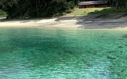 山田の海を楽しむサップ体験3～4名様【うみと私と】 三陸山田 山田町 山田湾 荒神 浦の浜 エメラルドグリーン マリンスポーツ 海 レジャー YD-847