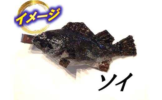 萬さん手作り、本物そっくり魚の模型ネクタイピン×5個 三陸山田産 山田町 山田湾 工芸品 職人技 匠 YD-940