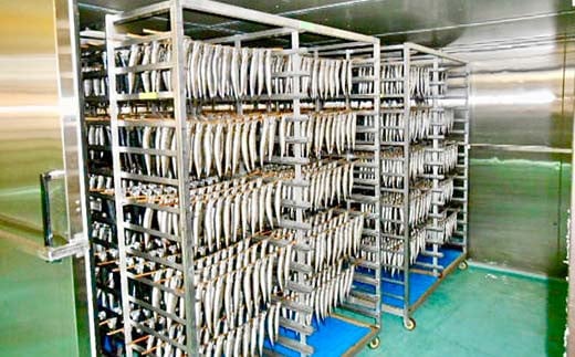 縲占ィウ縺ゅj縲大、ァ蜥梧ーエ逕」縺ョ螟ァ鄒ス縺繧上@シ磯ュ夐、蟷イ縺暦シ10譛ャ 繝槭う繝ッ繧キ 縺セ縺繧上@ 繧、繝ッ繧キ 縺繧上@ 魏ッ 縺翫°縺 縺翫▽縺セ縺ソ 閧エ 繧「繝 豬キ縺ョ蟷ク 蟷イ迚ゥ 鬲壻サ 豬キ逕」迚ゥ 鬟溷刀 YD-830