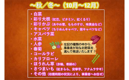 ≪先行予約≫【2026年5月中旬～発送開始！】 カラフルファムの旬のカラフル野菜 60 サイズ 無農薬 減農薬 詰合せ お弁当 食卓 おかず 新鮮野菜 三陸山田 山田町 山田産野菜 YD-1017