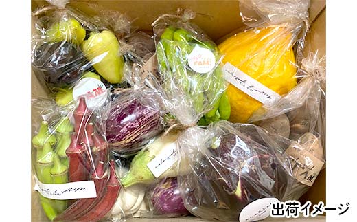 三陸山田産 カラフル 野菜 【2026年5月中旬～発送】 80サイズ ニンジン ピーマン トマト かぼちゃ じゃがいも ほうれん草 白菜 ニンニク 春菊 さつまいも 詰合せ お弁当 食卓 おかず 新鮮野菜 岩手県 三陸山田 山田町 山田産野菜  YD-1018