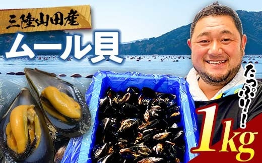 明神丸かき・ほたてきちのムール貝 1kg 【沖縄県・離島配送不可】 三陸山田 山田町 しゅうり貝 海産品 山田産 山田湾  魚貝 魚介 海産物 食品 YD-882