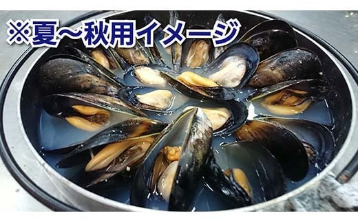 DayDay縺ァ邏ケ莉! 荳蛾匣螻ア逕ー逕」 螻ア逕ー縺ョ繝繝シ繝ォ雋 4kg 繧ア繝繝繝ゥ繧イ繝シ縺翫§縺輔s 謖ッ闊井クク 繝代お繝ェ繧「 驟定頂縺 縺翫▽縺セ縺ソ 繝代シ繝繧」繝シ 螟ァ螳ケ驥 鬲壻サ 豬キ魄ョ 蜀キ阡オ 縺励e縺繧願イ 谿サ莉倥″ 繝繝シ繝ォ雋 雋 譁ー魄ョ 蝗ス逕」 蟯ゥ謇狗恁 荳蛾匣螻ア逕ー 螻ア逕ー逕コ 荳蛾匣 YD-620