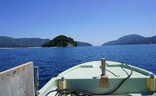 ã岩æäžéžå±±ç°ãé£ãè¹ éŠæ äžž ä¹è¹åž 1åã2åå å±±ç°çº å±±ç°æ¹Ÿ é£ãè¹ è¹é£ã äœéš ã«ã¬ã€ ã¢ã€ãã¡ ãœã€ ã€ã« ã¯ã©ãµ ãã¹ ã¿ã© ã¡ã¬ã© é£ãçšå é£ã ã¢ãŠãã㢠ãã£ãã·ã³ã° YD-687