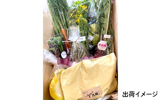 三陸山田産 カラフル 野菜 【2026年5月中旬～発送】 80サイズ ニンジン ピーマン トマト かぼちゃ じゃがいも ほうれん草 白菜 ニンニク 春菊 さつまいも 詰合せ お弁当 食卓 おかず 新鮮野菜 岩手県 三陸山田 山田町 山田産野菜  YD-1018