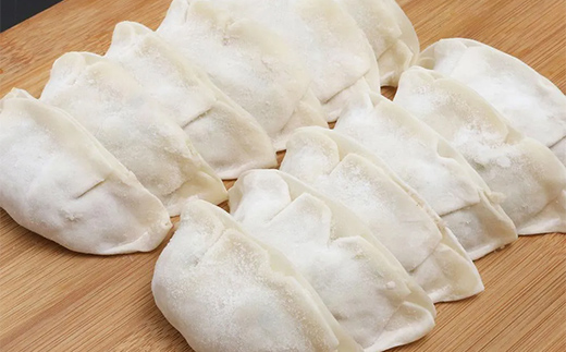 山田の餃子 10個入り×5袋 びはん びはんぱない 岩手県 三陸 三陸山田 山田町 肉 中華 山田の醤油 惣菜 餃子 ぎょうざ 冷凍 おかず おつまみ 弁当 手軽 YD-931