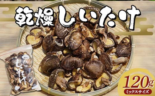 勝山さんの乾燥椎茸 120g（ミックスサイズ）岩手県山田町 三陸山田 岩手三陸産 椎茸 原木 野菜 きのこ  キノコ 食品 YD-716