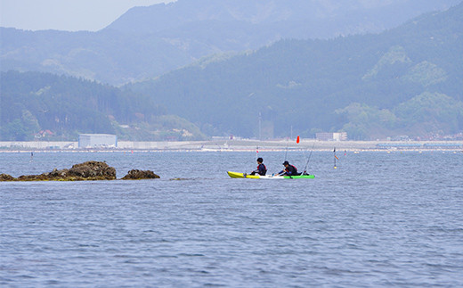 山田湾シーカヤック クルーズ券 1名分【ジオトレイル カヤック フードプログラム】三陸山田 山田町 海 釣り 体験 マリンスポーツ マリンツーリズム マリンレジャー Geotrail EFRICA APIA YD-678
