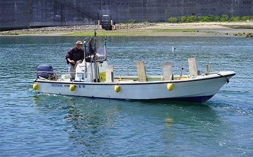 ã岩æäžéžå±±ç°ãé£ãè¹ éŠæ äžž ä¹è¹åž 1åã2åå å±±ç°çº å±±ç°æ¹Ÿ é£ãè¹ è¹é£ã äœéš ã«ã¬ã€ ã¢ã€ãã¡ ãœã€ ã€ã« ã¯ã©ãµ ãã¹ ã¿ã© ã¡ã¬ã© é£ãçšå é£ã ã¢ãŠãã㢠ãã£ãã·ã³ã° YD-687