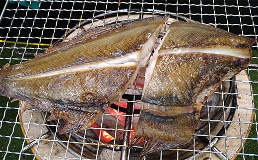 縺翫∪縺九○蟷イ迚ゥ繧サ繝繝茨シ井クュシ峨仙、ァ蜥梧ーエ逕」縲台ク蛾匣螻ア逕ー 螻ア逕ー逕コ 鬲 鬲壻サ 蟷イ迚ゥ 縺翫°縺 螟暮」ッ 隧ー蜷医○ 繧ォ繝ッ繝上ぐ 繧「繧ク 繝。繧「繧ク 繝√ム繧、 繧オ繝 繧、繝ッ繧キ 繧オ繝ウ繝 繧ソ繝ゥ 繧ォ繝ャ繧、 繝繝 YD-832