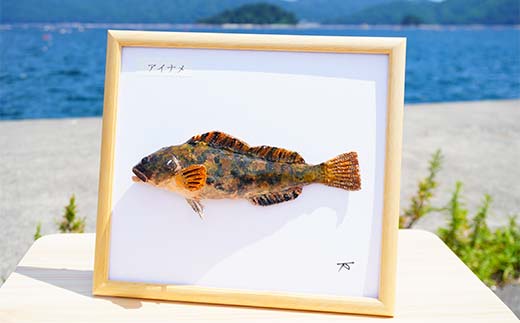 萬さん手作り、本物そっくり魚の模型 2点 三陸山田産 山田町 山田湾 工芸品 職人 匠 YD-936