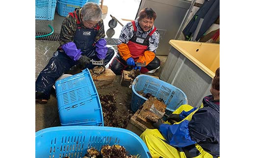 【産地直送】三陸山田産 剥き身 牡蠣 約500g×2パック 大福丸 岩手県 三陸山田 山田町 山田湾 三陸 海産品 かき カキ YD-724