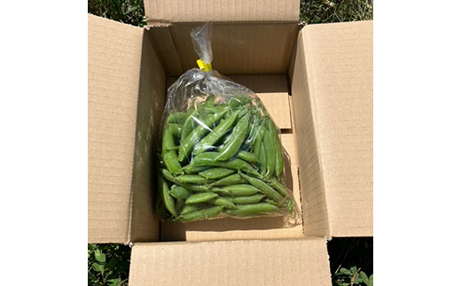 ã5æäžæ¬ã6æäžæ¬çºéïŒã ã¹ããããšã³ã㊠500g ããã蟲å äžéžå±±ç° å±±ç°çº éè ææ©æ œå¹ ç¡èŸ²è¬ YD-1086