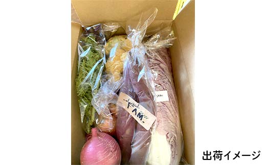 ≪先行予約≫【2026年5月中旬～発送開始！】 カラフルファムの旬のカラフル野菜 60 サイズ 無農薬 減農薬 詰合せ お弁当 食卓 おかず 新鮮野菜 三陸山田 山田町 山田産野菜 YD-1017