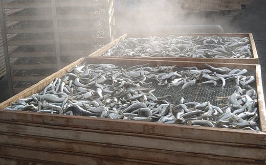 螟ァ蜥梧ーエ逕」縺ョ辣ョ蟷イ縺励♀隧ヲ縺200gテ2陲九そ繝繝 荳蛾匣螻ア逕ー 螻ア逕ー逕コ 縺九◆縺上■縺繧上@ 縺セ縺繧上@ 蜃コ豎 縺翫▽縺セ縺ソ 縺翫d縺、 縺繧翫% 繝繧キ 辣ョ蟷イ縺 縺ォ縺シ縺 荵セ迚ゥ 蜉蟾・蜩 YD-516