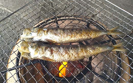 おまかせ干物セット（小）【大和水産】三陸山田 山田町 魚 魚介 干物 おかず 夕飯 詰合せ カワハギ アジ メアジ チダイ サバ イワシ サンマ タラ カレイ ムツ YD-831
