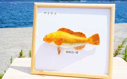 è¬ããæäœããæ¬ç©ãã£ããéã®æš¡å 1ç¹ äžéžå±±ç°ç£ å±±ç°çº å±±ç°æ¹Ÿ å·¥èžå è·äºº å YD-935