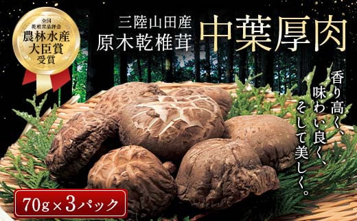 三陸山田産　原木乾椎茸「中葉厚肉」 三陸山田 山田町 野菜 きのこ きのこ名人 農林水産大臣賞 匠  キノコ 食品 YD-455