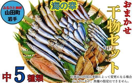 おまかせ干物セット（中）【大和水産】三陸山田 山田町 魚 魚介 干物 おかず 夕飯 詰合せ カワハギ アジ メアジ チダイ サバ イワシ サンマ タラ カレイ ムツ  おつまみ 肴 アテ 海の幸 海産物 食品 YD-832