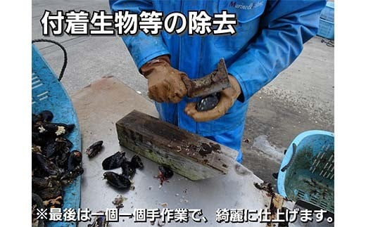 ãDayDayã§ç޹ä»ãããŸããïŒãã±ããã©ã²ãŒããããã®ã ãŒã«è² 1kg ãã
ããè² ãã€ãŸã¿ èŽ ã¢ã æµ·ã®å¹ž è² éä» æµ·ç£ç© é£å YD-800