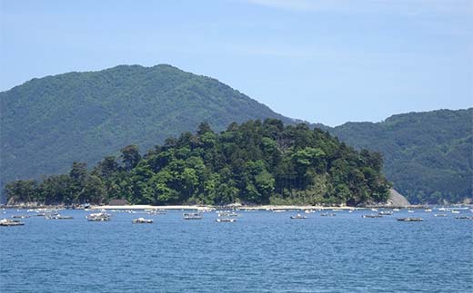 ≪発送期間5月～7月≫三陸やまだオランダ島サーモン×1本（約2kg）【三陸やまだ漁協】【月曜日発送】【沖縄・離島配送不可】三陸山田 山田町 山田湾 山田産 トラウトサーモン 鮭 養殖 刺身 カルパッチョ 生食 YD-1091