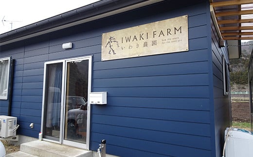 いわき農園の新鮮ほうれん草セット 4kg ホウレンソウ 野菜   食品 YD-461