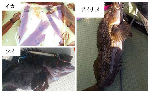 【岩手三陸山田】釣り船 邦栄丸 乗船券 4名分 山田町 山田湾 釣り船 船釣り 体験 カレイ アイナメ ソイ イカ ワラサ マス タラ メガラ YD-689