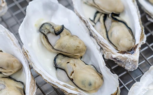 菅原商店の山田湾育ちのカキグラタン（6個入り） 三陸山田 かき 牡蠣 海産品 海産物  ボイル牡蠣 茹で牡蠣 海の幸 カキ 貝 魚介 食品 YD-824