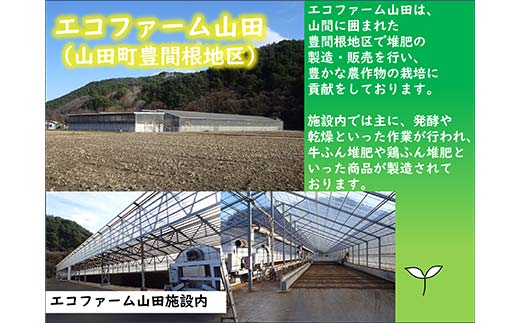 çãµã å è¥ 30LÃïŒè¢ ãšã³ãã¡ãŒã å±±ç° äžéžå±±ç° å±±ç°çº è¥æ çã®è¥æ ææ©è¥æ ç åå£ YD-1061