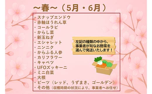 三陸山田産 カラフル 野菜 【2026年5月中旬～発送】 80サイズ ニンジン ピーマン トマト かぼちゃ じゃがいも ほうれん草 白菜 ニンニク 春菊 さつまいも 詰合せ お弁当 食卓 おかず 新鮮野菜 岩手県 三陸山田 山田町 山田産野菜  YD-1018