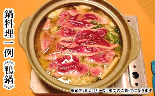山田魚河岸 お食事券 4,000円分 岩手県山田町 三陸山田 クーポン券 チケット 飲食券 昼食 ランチ 夕食 ディナー お寿司 鍋料理 割烹  食事券 食事 利用券 ミールクーポン YD-812