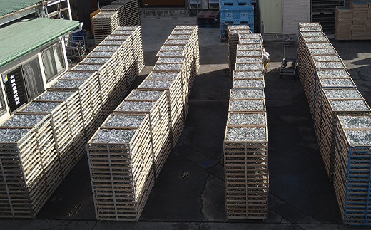 螟ァ蜥梧ーエ逕」縺ョ辣ョ蟷イ縺励♀隧ヲ縺200gテ2陲九そ繝繝 荳蛾匣螻ア逕ー 螻ア逕ー逕コ 縺九◆縺上■縺繧上@ 縺セ縺繧上@ 蜃コ豎 縺翫▽縺セ縺ソ 縺翫d縺、 縺繧翫% 繝繧キ 辣ョ蟷イ縺 縺ォ縺シ縺 荵セ迚ゥ 蜉蟾・蜩 YD-516