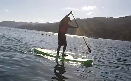 山田の海を楽しむサップ体験3～4名様【うみと私と】 三陸山田 山田町 山田湾 荒神 浦の浜 エメラルドグリーン マリンスポーツ 海 レジャー YD-847