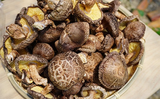 勝山さんの乾燥椎茸 200g（ミックスサイズ）岩手県山田町 三陸山田 岩手三陸産 椎茸 原木 野菜 きのこ  キノコ 食品 YD-717