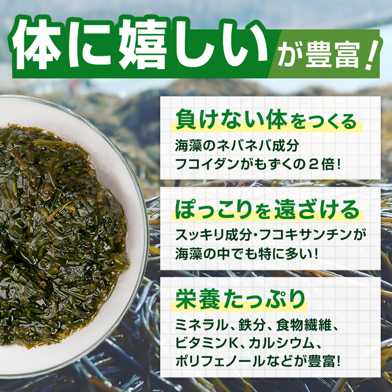 ≪6ヶ月連続でお届け！≫【定期便】山田湾産 天然プレミアム冷凍アカモク 180食分 （30g×30食）×6ヶ月 三陸山田 山田町 山田湾 海藻 ネバネバ ミネラル フコキサンチン フコイダン 健康食品 定期便 アカモク生産協同組合 YD-1083