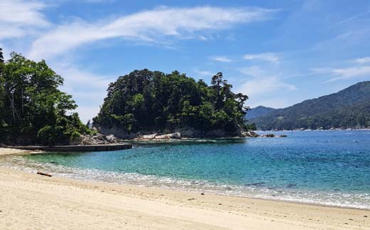 山田の海を楽しむサップ体験1～2名様【うみと私と】 三陸山田 山田町 山田湾 荒神 浦の浜 エメラルドグリーン マリンスポーツ 海 レジャー YD-846