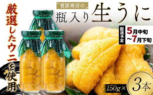 【2026年先行予約】菅原商店の生うに150g 3本 無添加ウニ キタムラサキウニ 特選 ミョウバン不使用【沖縄・離島配送不可】 YD-903
