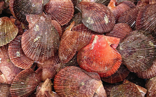 山田のあかちゃん（小瓶）1本 三陸山田 山田町 山田産 赤皿貝 ２枚貝 燻製 オリーブオイル おつまみ 無添加 手作り  保存食 備蓄 防災 災害対策 魚介 海産物 加工品 食品 YD-990