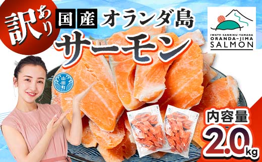 《訳あり》山田町産オランダ島サーモン切り身 約1kg×2袋【長根水産】無添加鮭 魚介類 海鮮 訳アリ 規格外 不揃い さけ サケ 鮭切身 シャケ 切り身 冷凍 家庭用 おかず 弁当 トラウトサーモン 三陸山田 山田町 山田湾 海産品 YD-1030